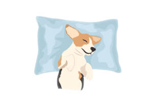 sleeping dog
