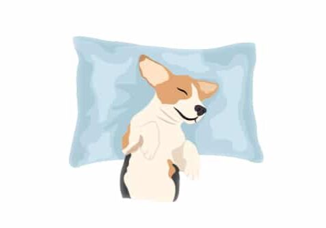 Sleeping Dog Blog Illustrations_(FINAL)-01
